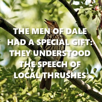 The men of Dale had a special gift: they could understand local thrushes.