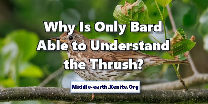 A picture of a thrush (bird) sitting on a tree branch under the words 'Why Is Only Bard Able to Understand the Thrush?'