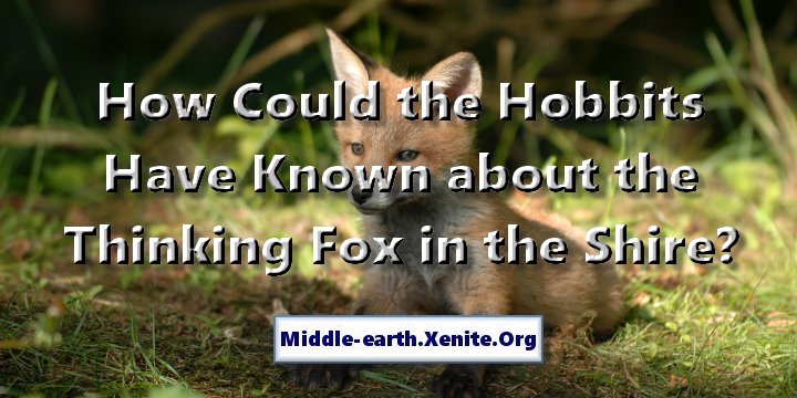 A fox stares curiously into the distancce while pausing in a woodland glade. The words 'How Could the Hobbits Have Known about the Thinking Fox in the Shire?' hang over the image.